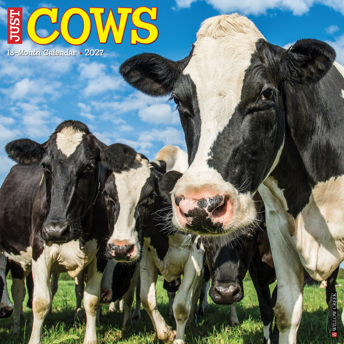 Willow Creek Press - 2027 Cows Calendar