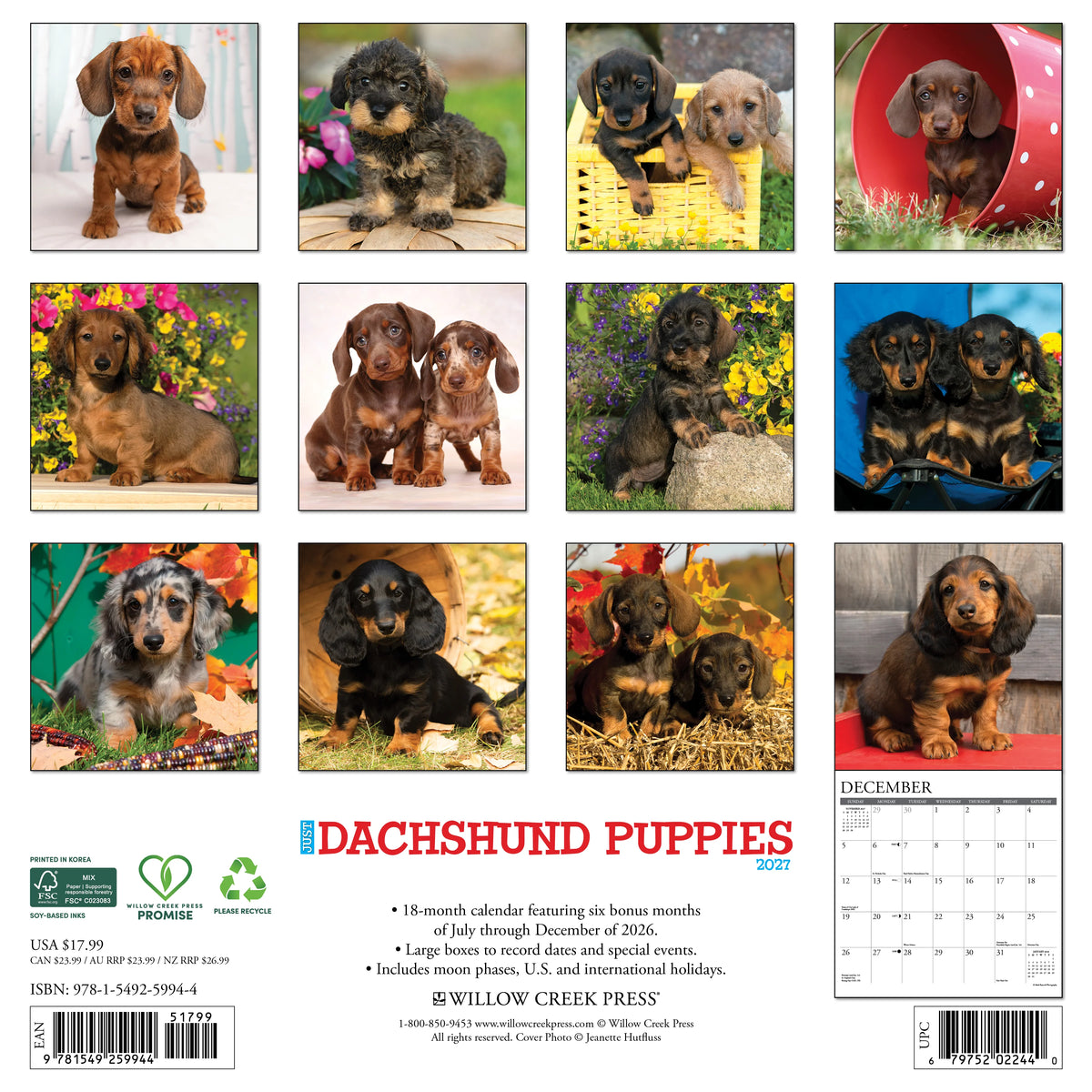 Willow Creek Press - 2027 Dachshund Puppies Calendar