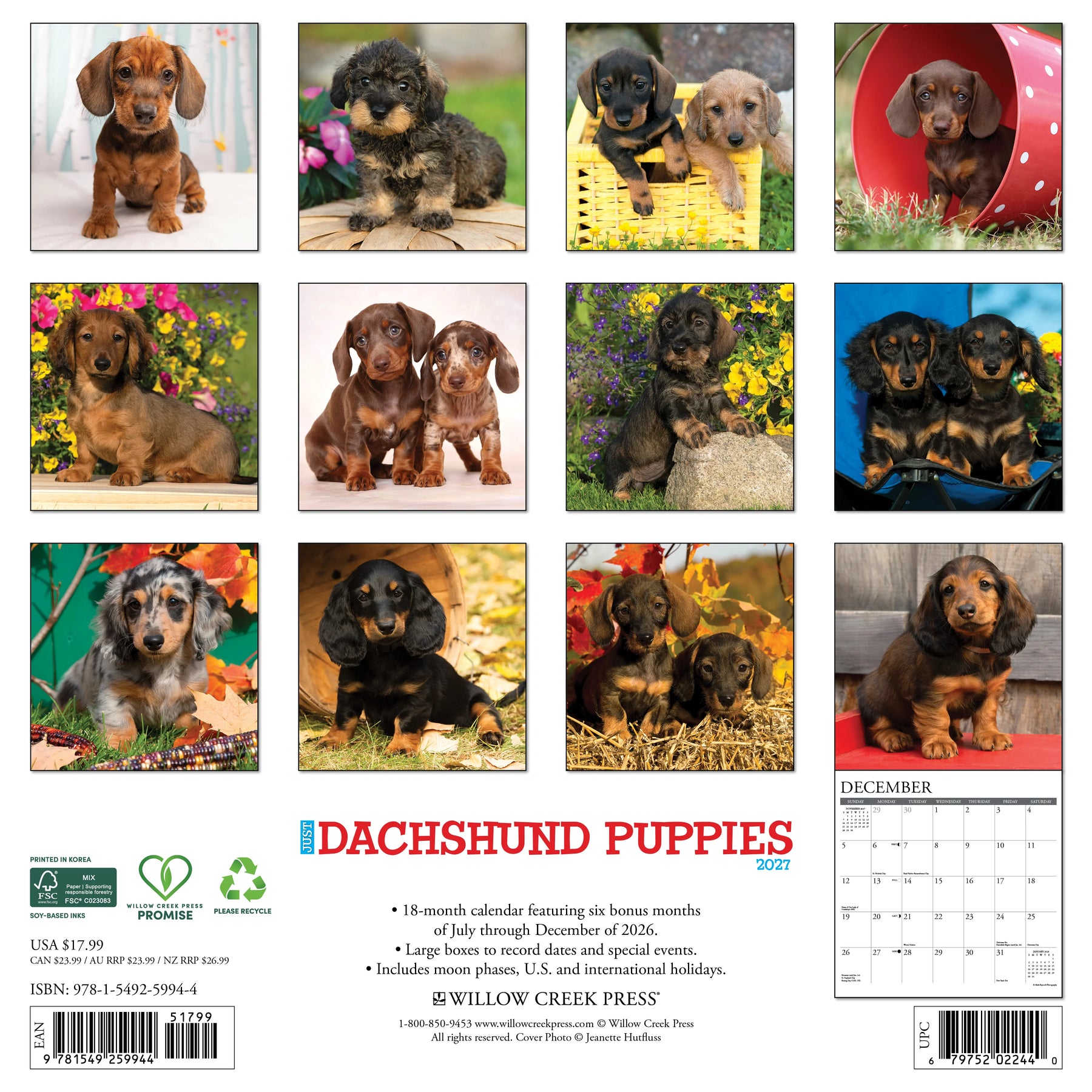 Willow Creek Press - 2027 Dachshund Puppies Calendar