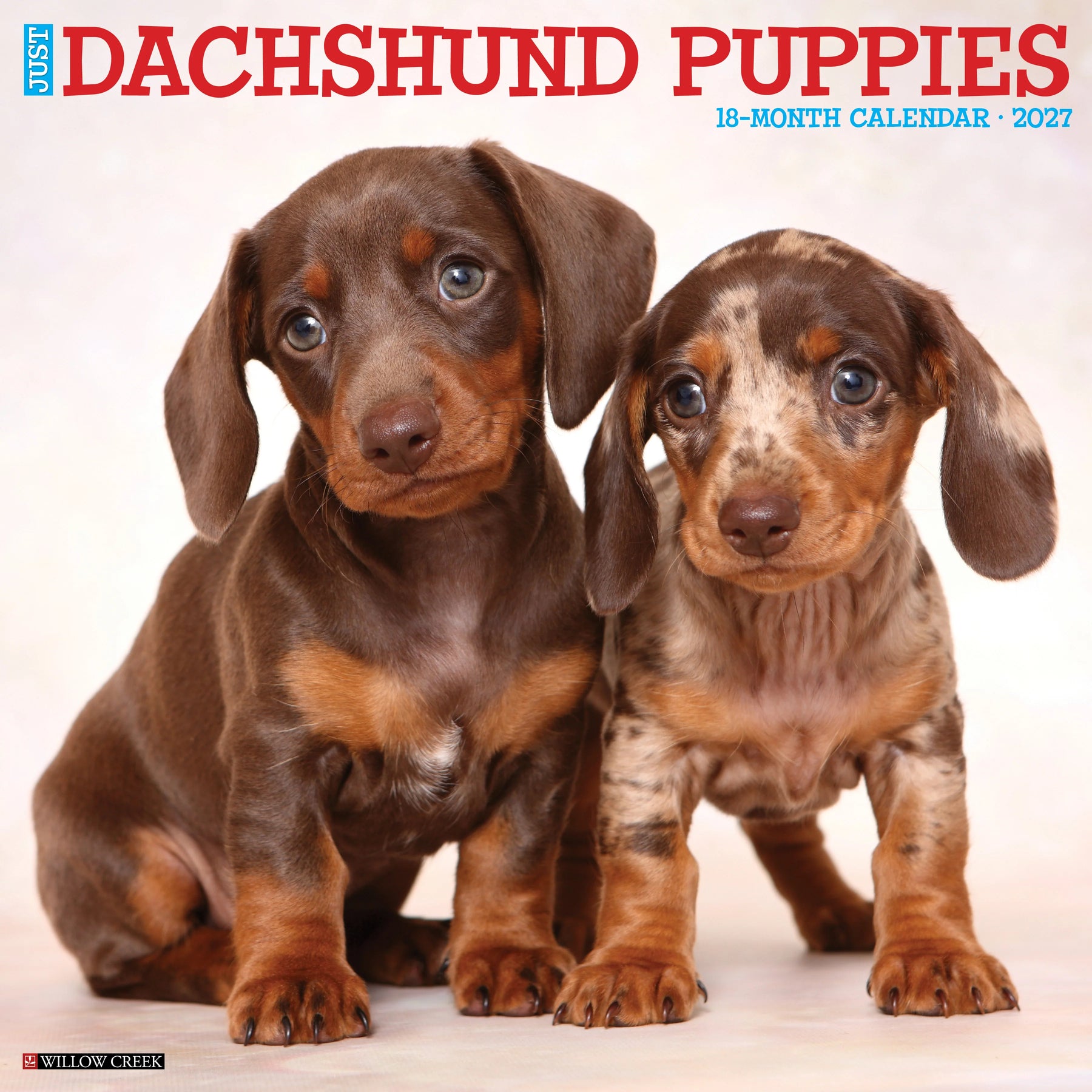 Willow Creek Press - 2027 Dachshund Puppies Calendar
