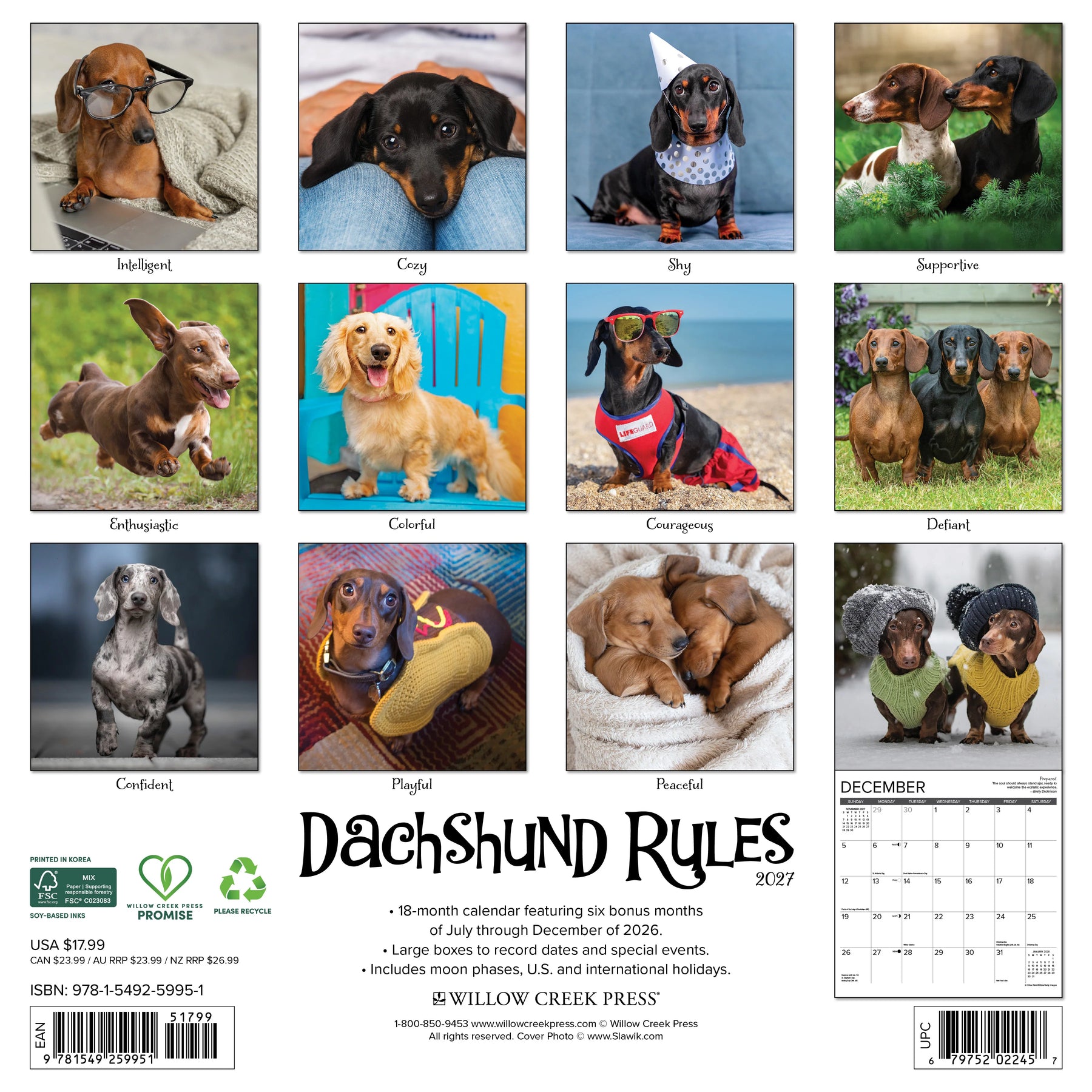 Willow Creek Press - 2027 Dachshund Rules Calendar