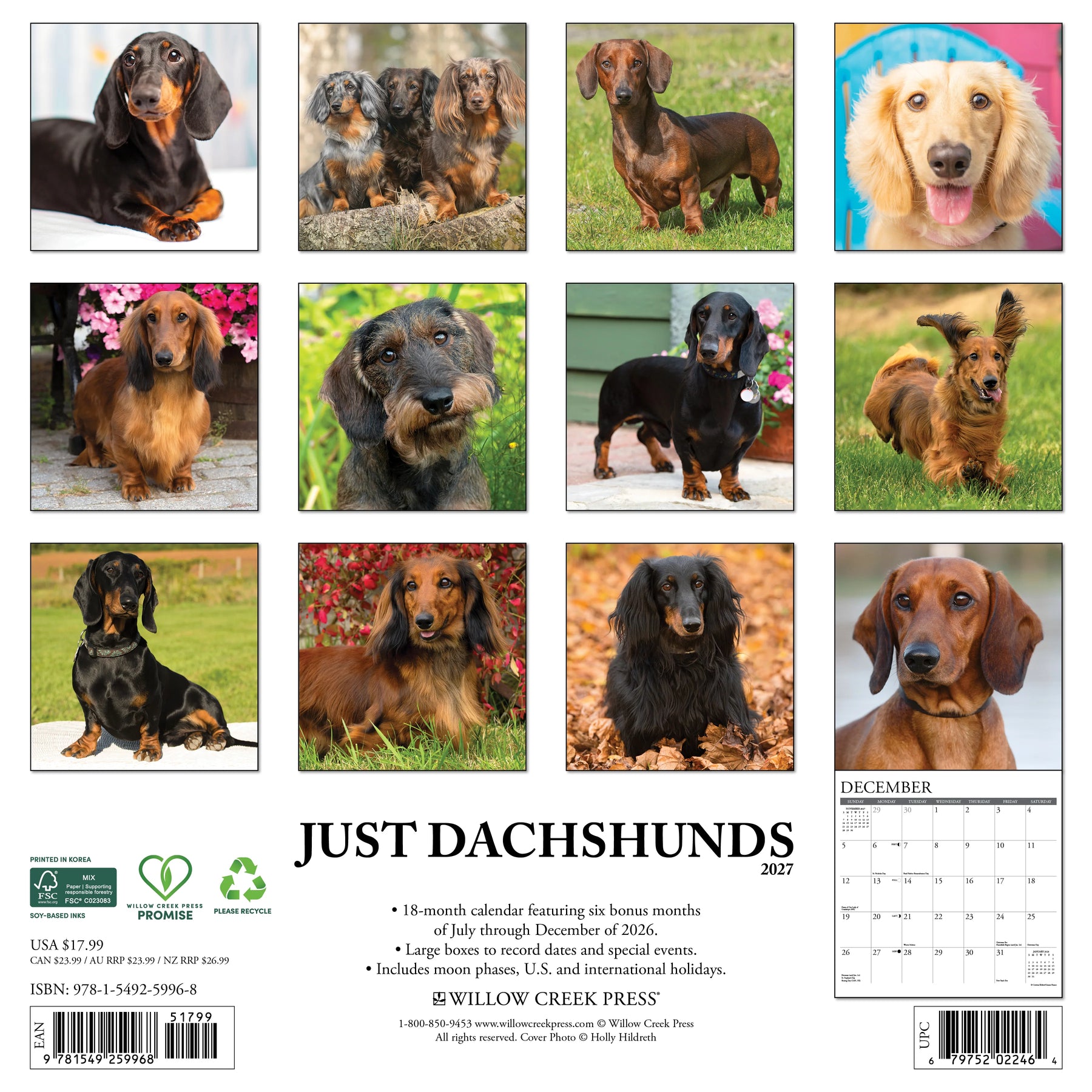 Willow Creek Press - 2027 Dachshunds Calendar
