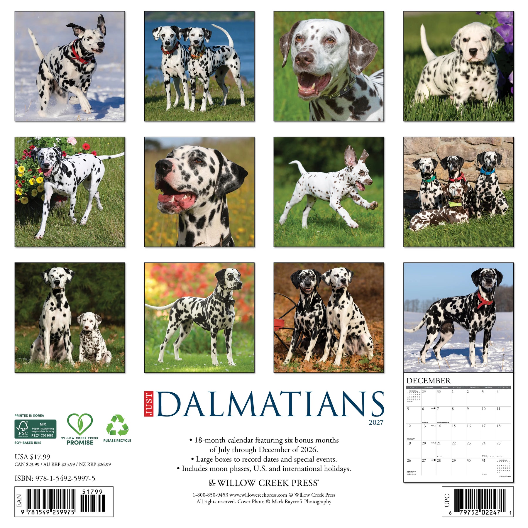 Willow Creek Press - 2027 Dalmatians Calendar