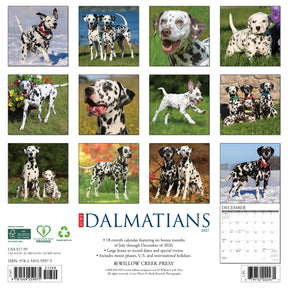 Willow Creek Press - 2027 Dalmatians Calendar