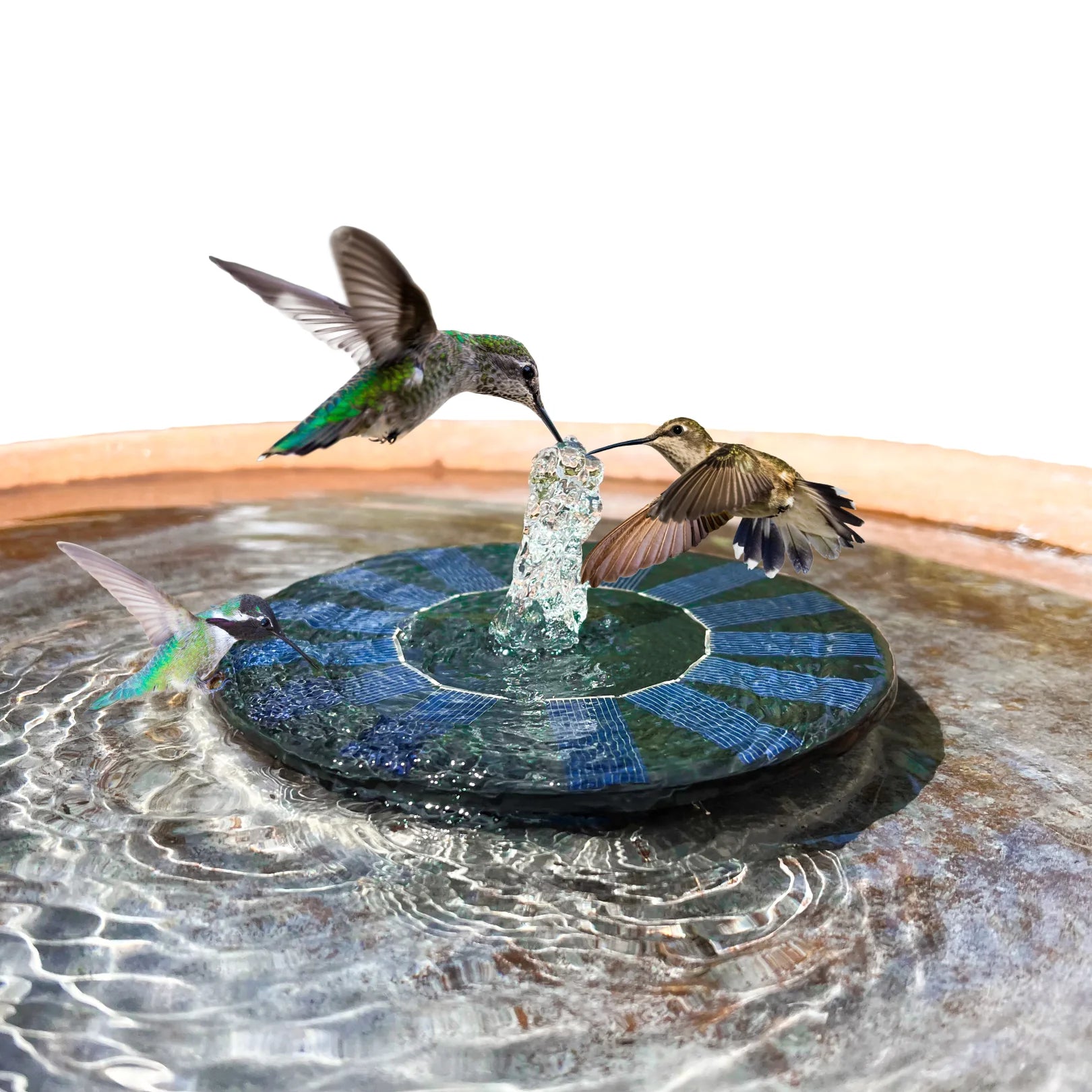 Replacement Solar Pump for Bird Bath