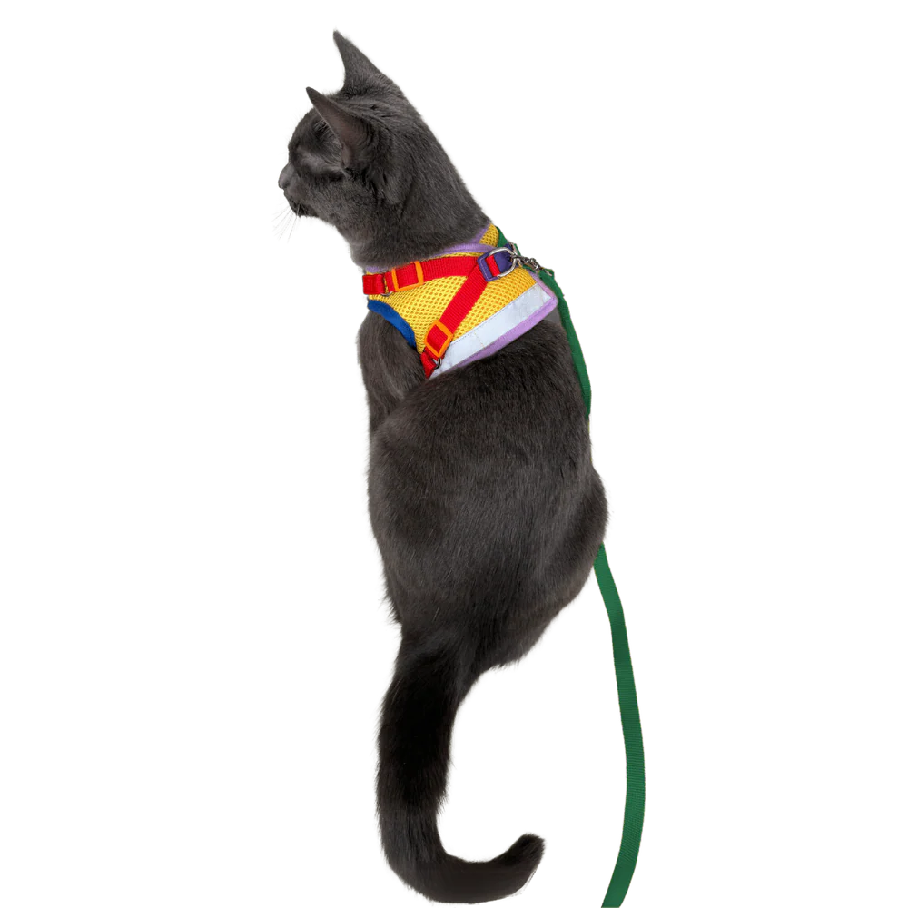 Harness & Leash Set - "The Rainbow"