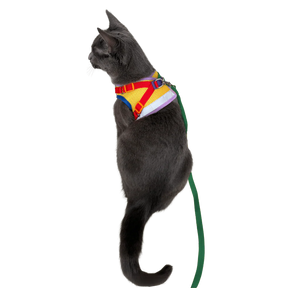 Harness & Leash Set - "The Rainbow"