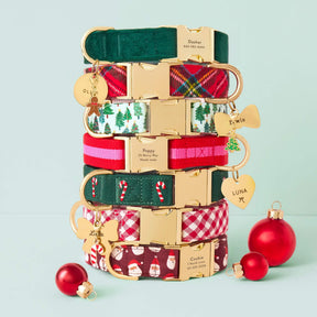 The Foggy Dog - Dog Collar Evergreen Candy Cane