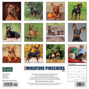 2024 Miniature Pinschers Calendar