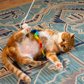 Squishy Face Studio - Cat Excercise Toy