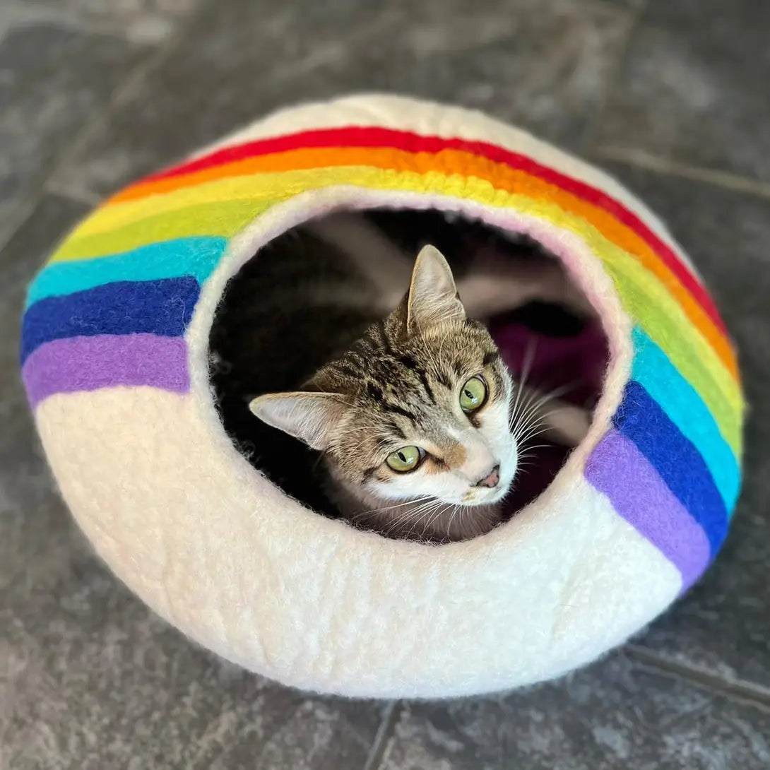 Friendsheep - Rainbow Eco Kitty/Cat Cave