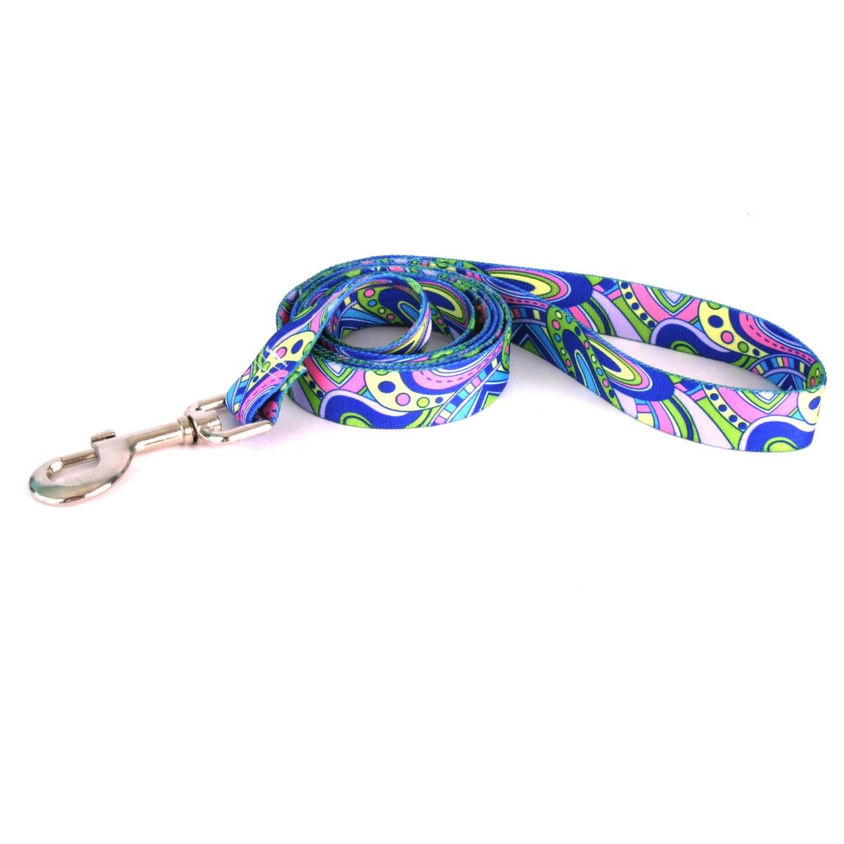 Yellow Dog Designs - Mod Dog Leash 1"x60"