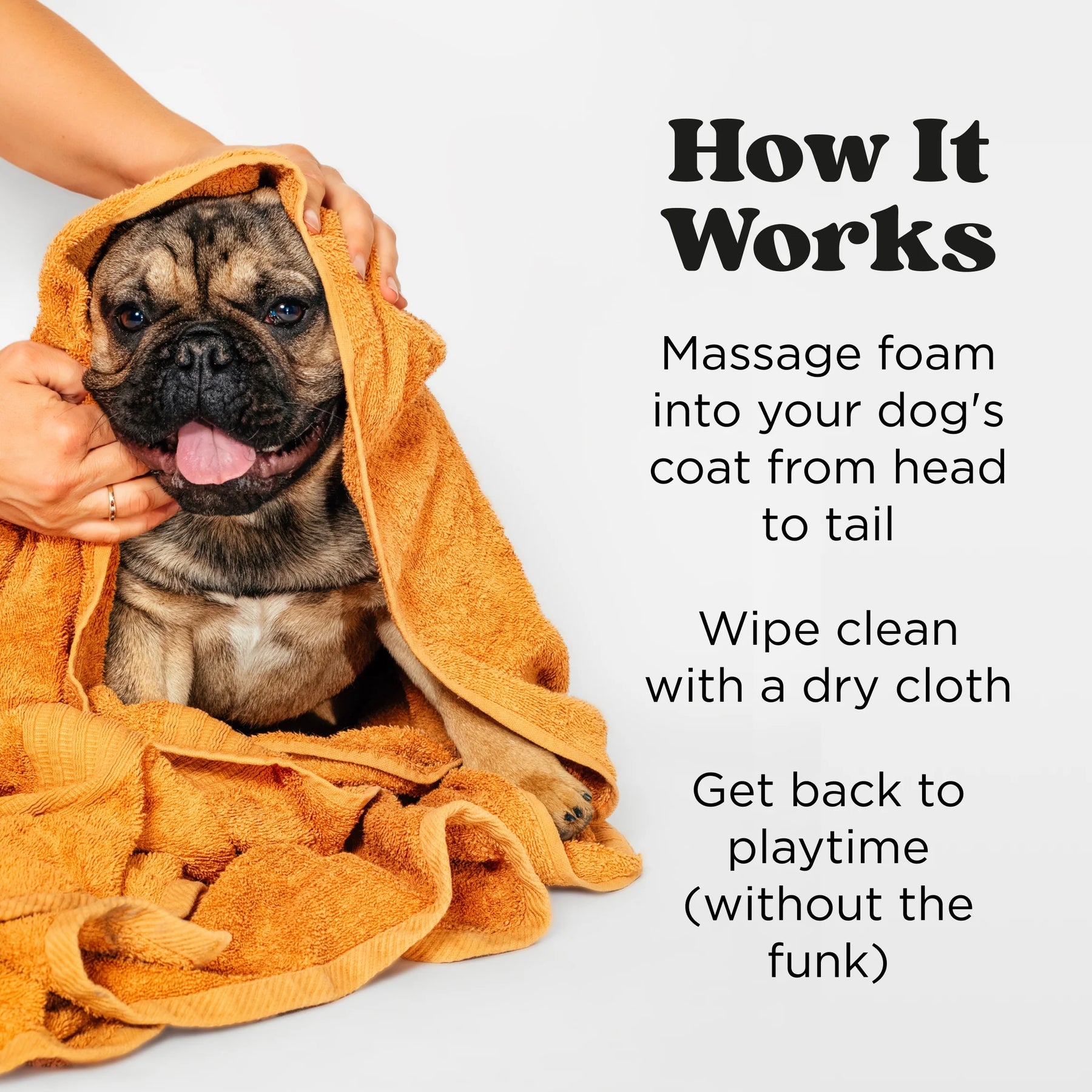 Pet-Pourri Pawsitively Fresh Rinse-Free Deodorizing Shampoo