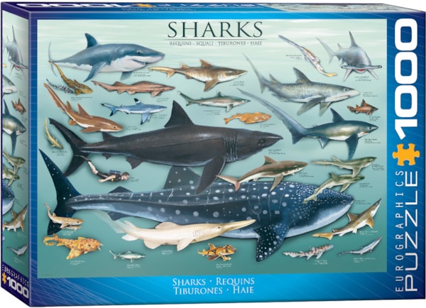Puzzle Sharks