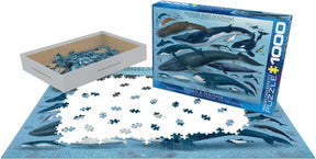 Puzzle Whales & Dolphins
