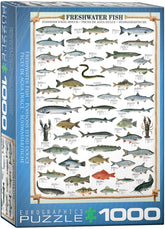 Puzzle Fresh Water Fish