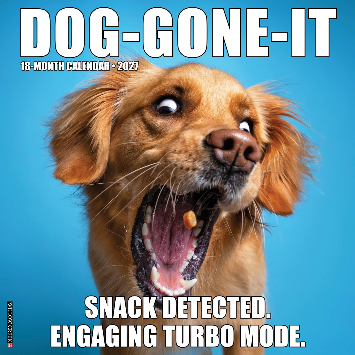 Willow Creek Press - 2027 Dog-Gone-It Calendar
