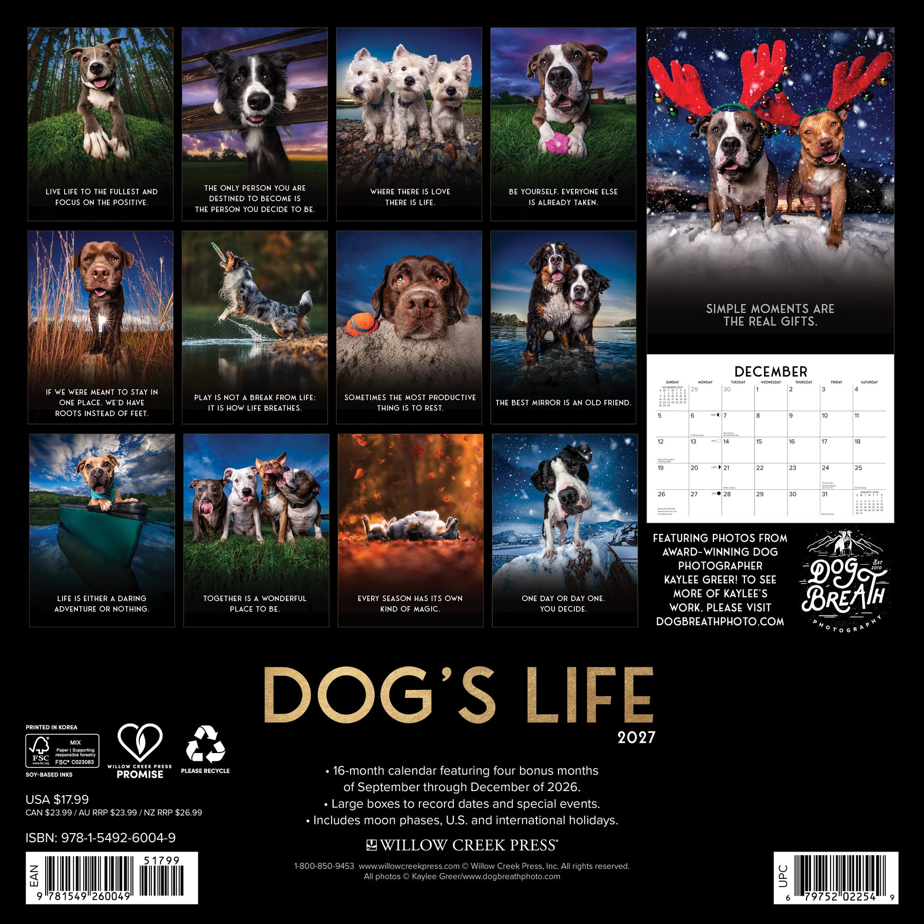Willow Creek Press - 2027 Dog's Life Calendar