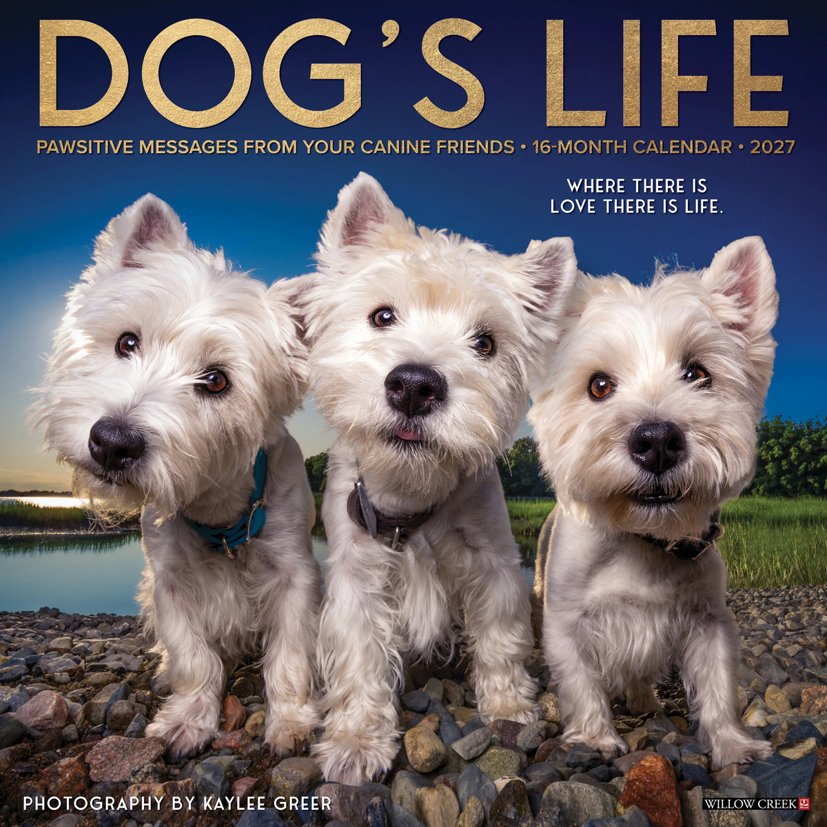 Willow Creek Press - 2027 Dog's Life Calendar