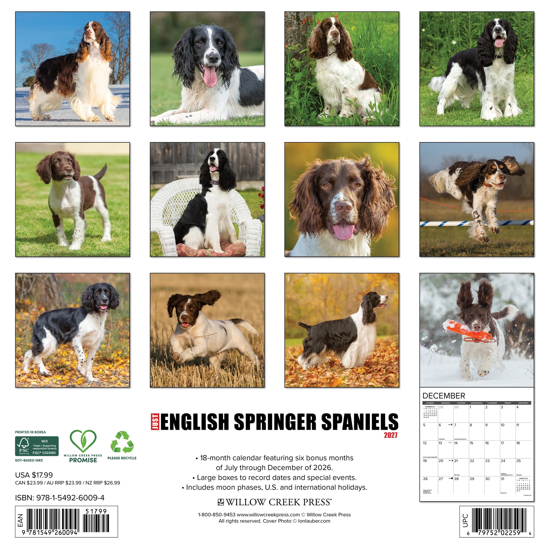 Willow Creek Press - 2027 English Springer Spaniels Calendar