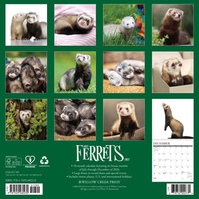 Willow Creek Press - 2027 Ferrets Calendar