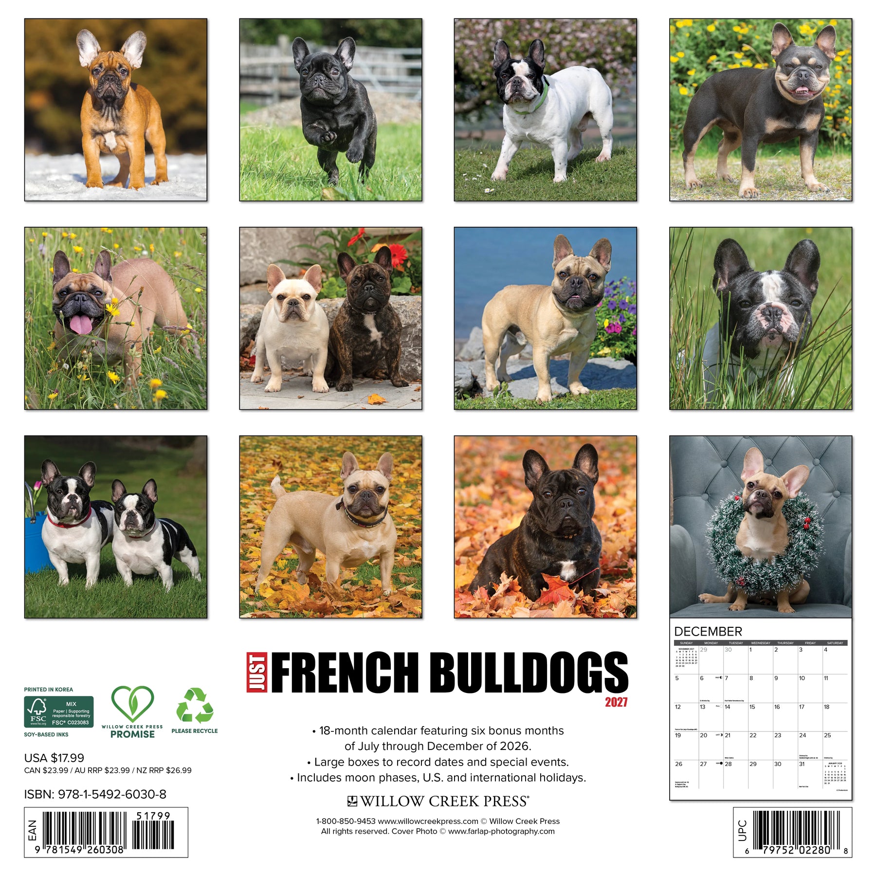 Willow Creek Press - 2027 French Bulldogs Calendar
