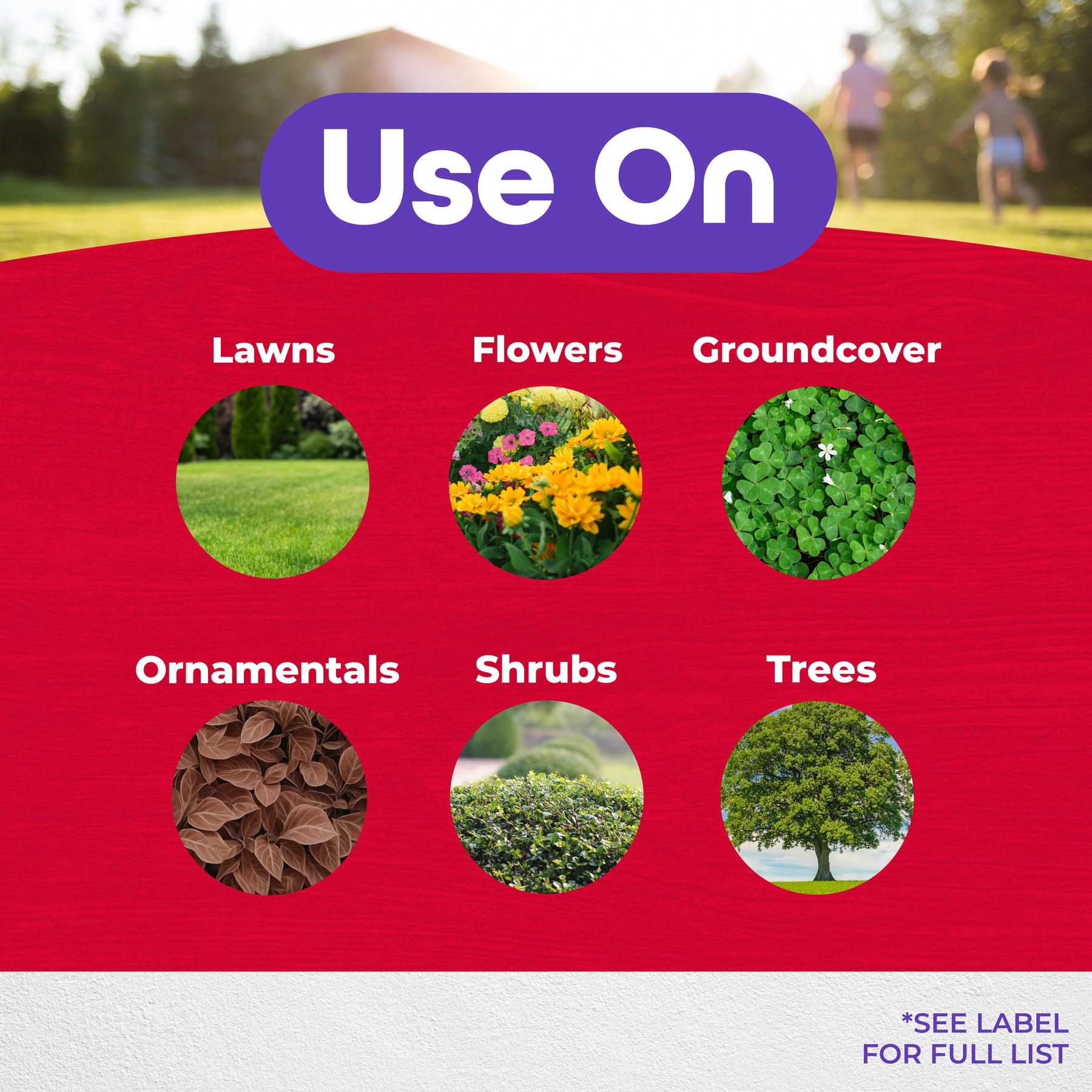 Bonide - Annual Grub Beater