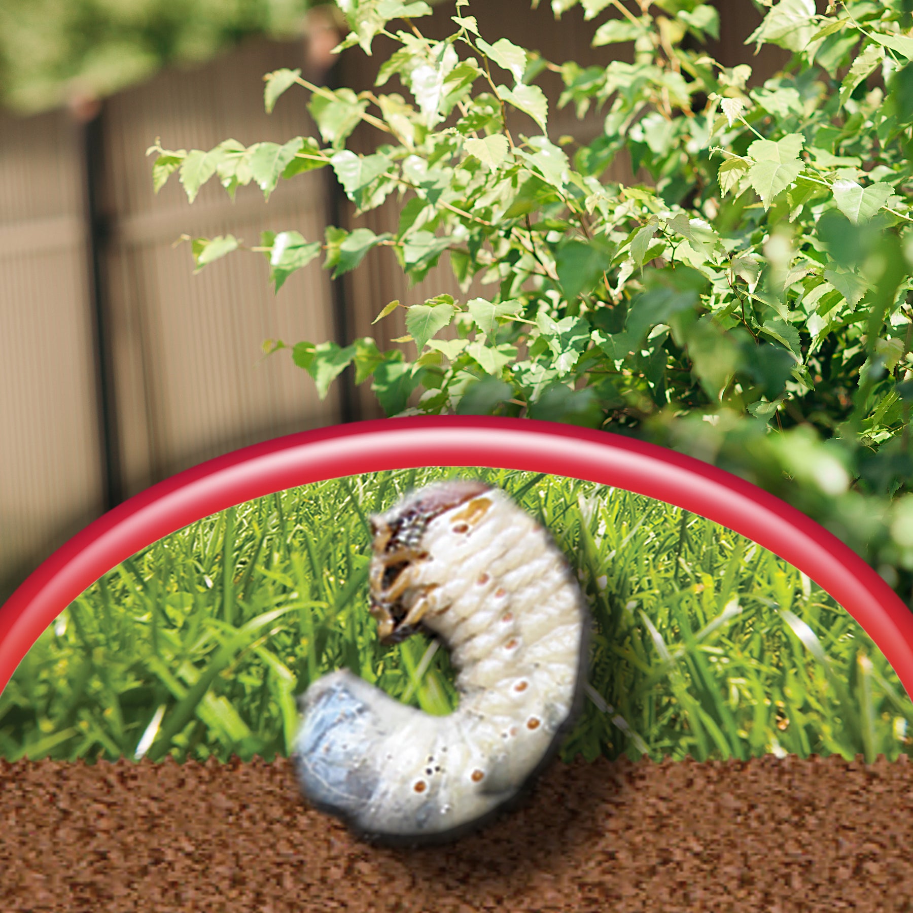 Bonide - Annual Grub Beater