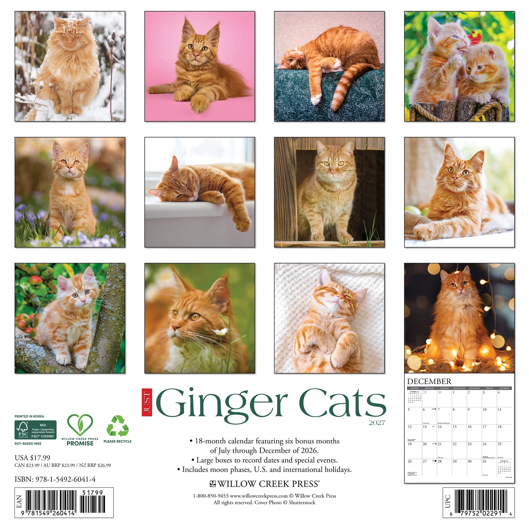 Willow Creek Press - 2027 Ginger Cats Calendar