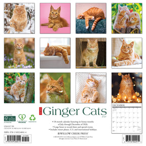 Willow Creek Press - 2027 Ginger Cats Calendar
