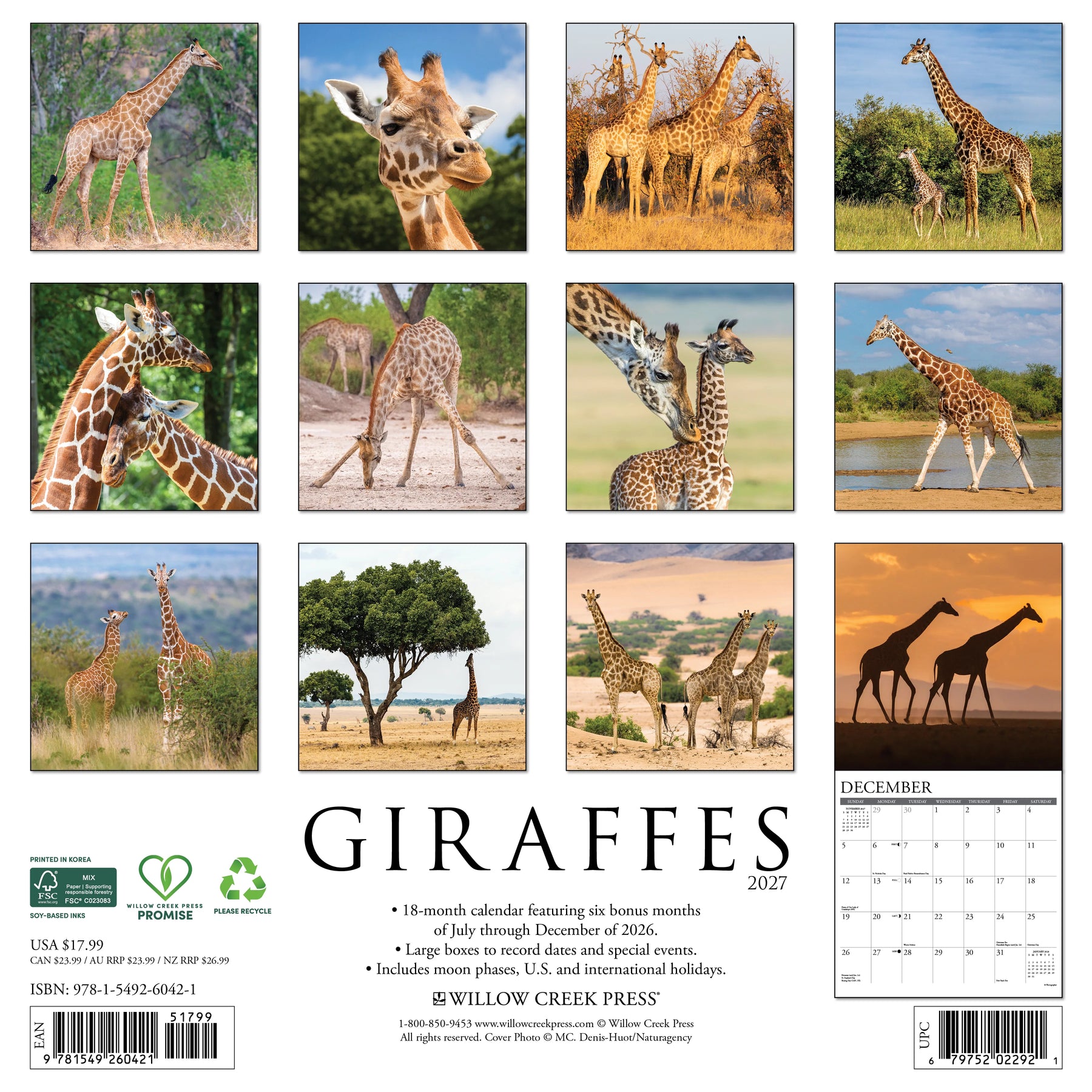 Willow Creek Press - 2027 Giraffes Calendar