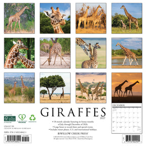 Willow Creek Press - 2027 Giraffes Calendar