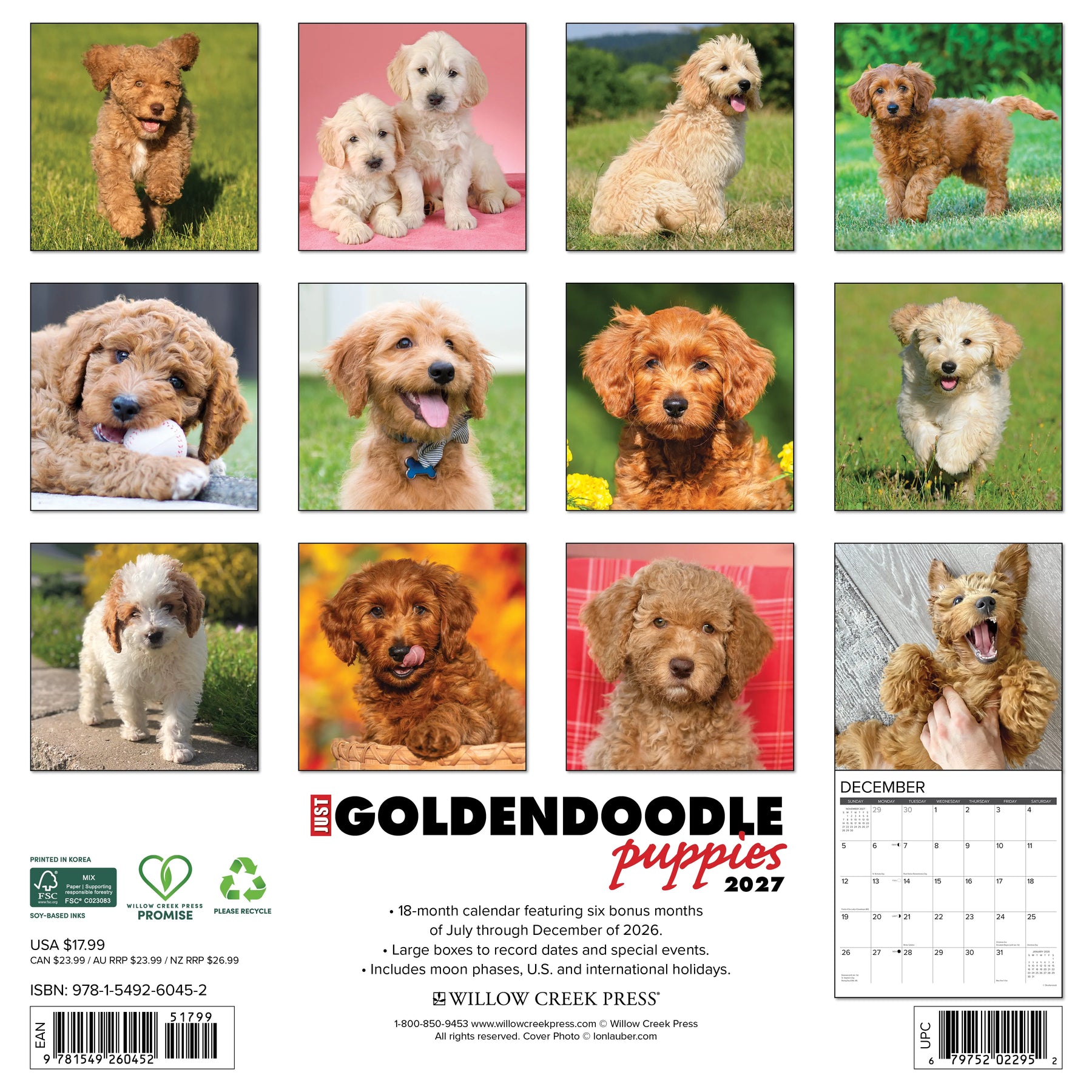 Willow Creek Press - 2027 Goldendoodle Puppies Calendar