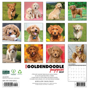 Willow Creek Press - 2027 Goldendoodle Puppies Calendar