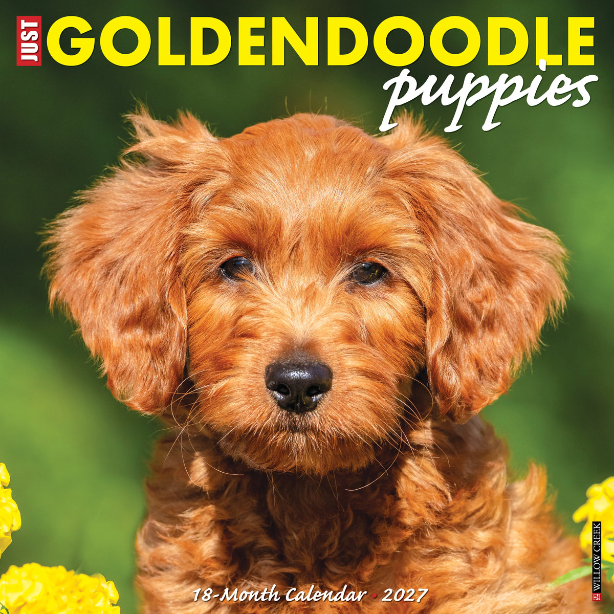 Willow Creek Press - 2027 Goldendoodle Puppies Calendar