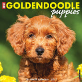 Willow Creek Press - 2027 Goldendoodle Puppies Calendar