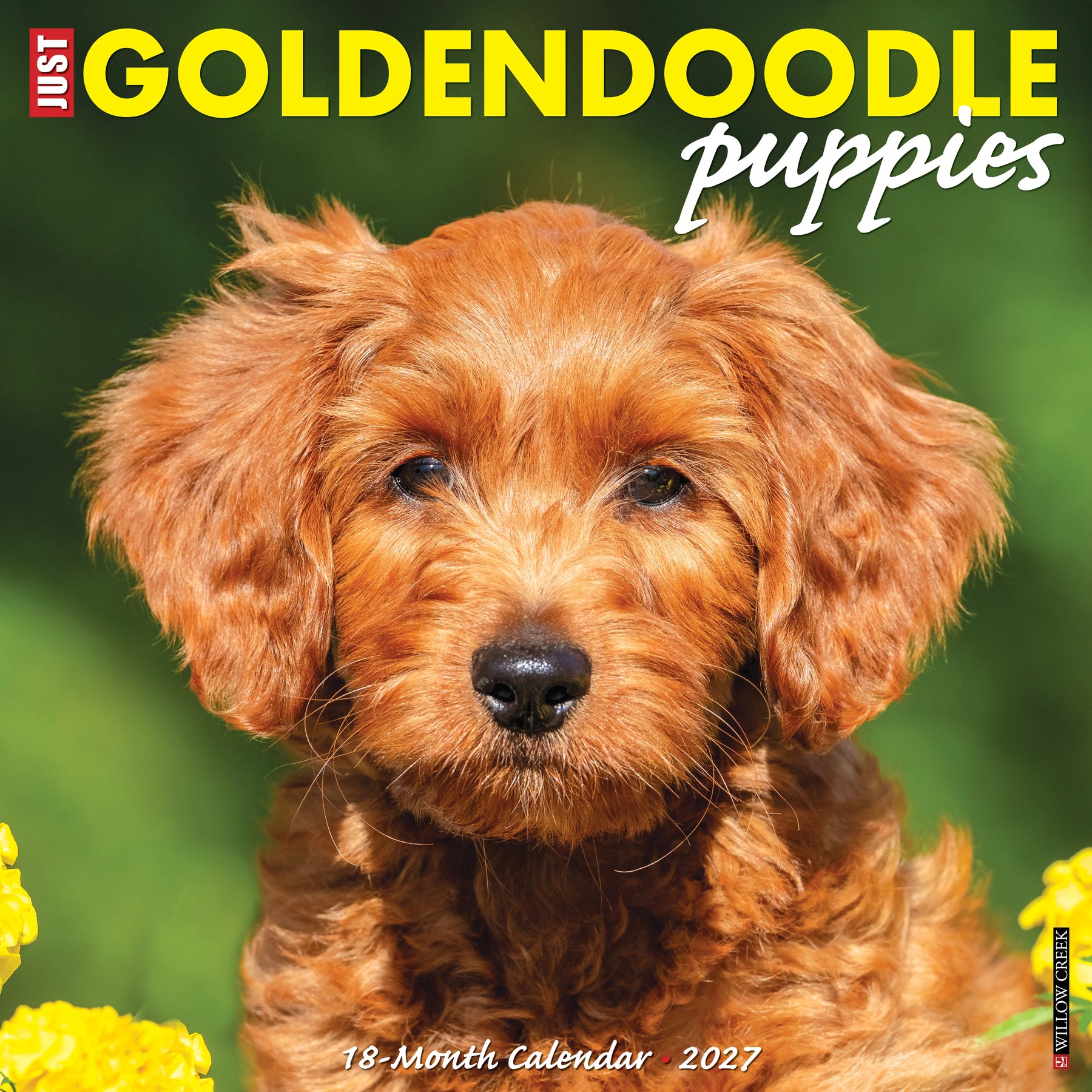 Willow Creek Press - 2027 Goldendoodle Puppies Calendar