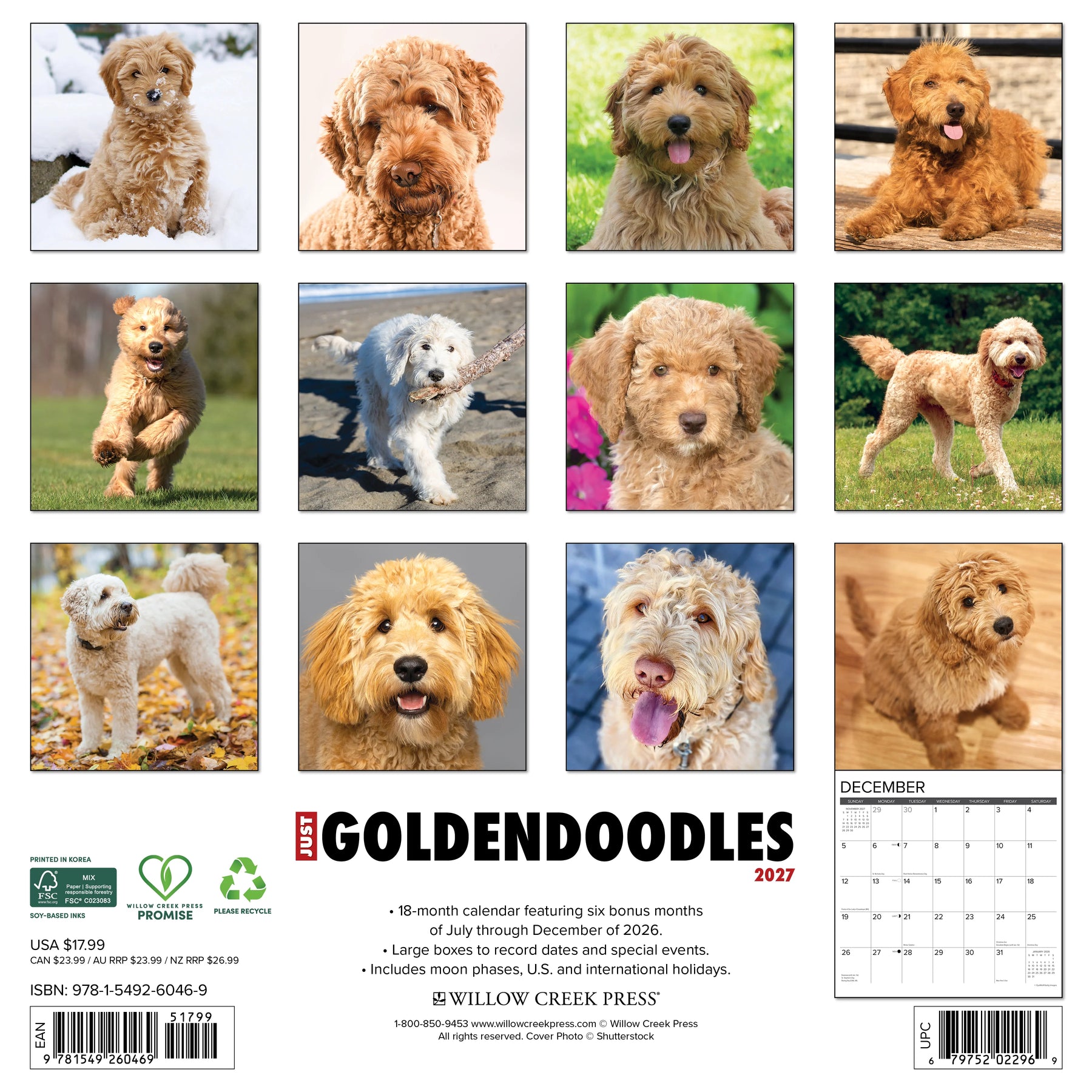 Willow Creek Press - 2027 Goldendoodles Calendar