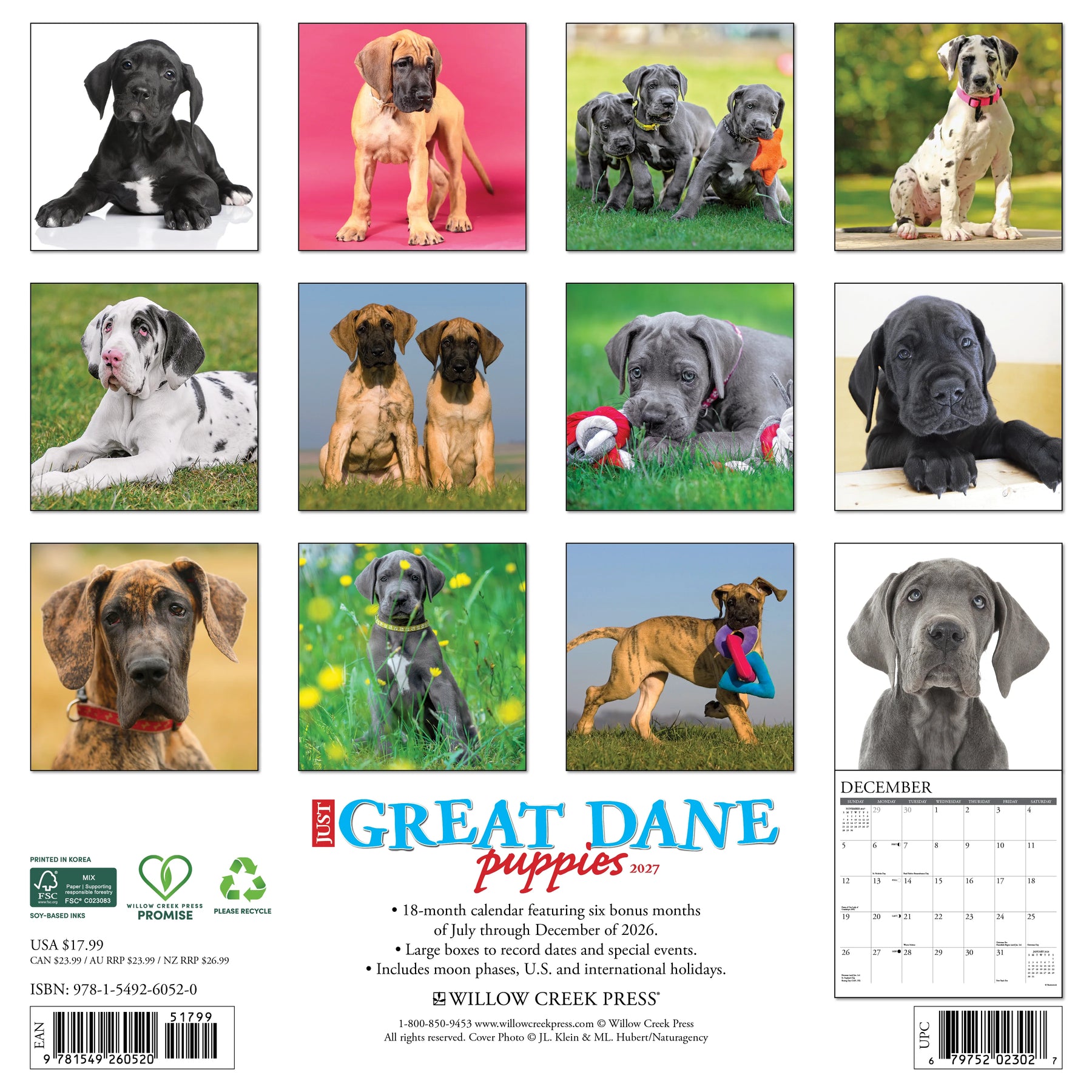Willow Creek Press - 2027 Great Dane Puppies Calendar