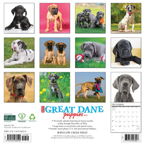 Willow Creek Press - 2027 Great Dane Puppies Calendar