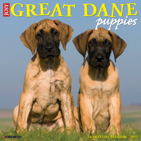Willow Creek Press - 2027 Great Dane Puppies Calendar