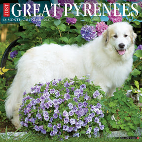Willow Creek Press - 2027 Great Pyrenees Calendar