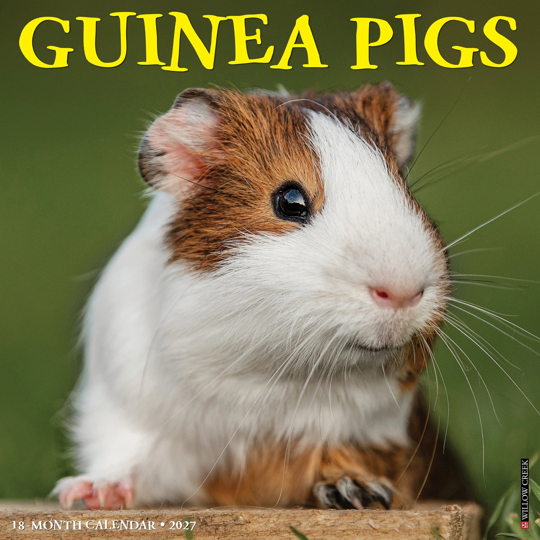 Willow Creek Press - 2027 Guinea Pigs Calendar