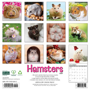 Willow Creek Press - 2027 Hamsters Calendar