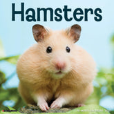 Willow Creek Press - 2027 Hamsters Calendar