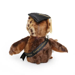 Bearington Collection - Wisdom Graduation Owl