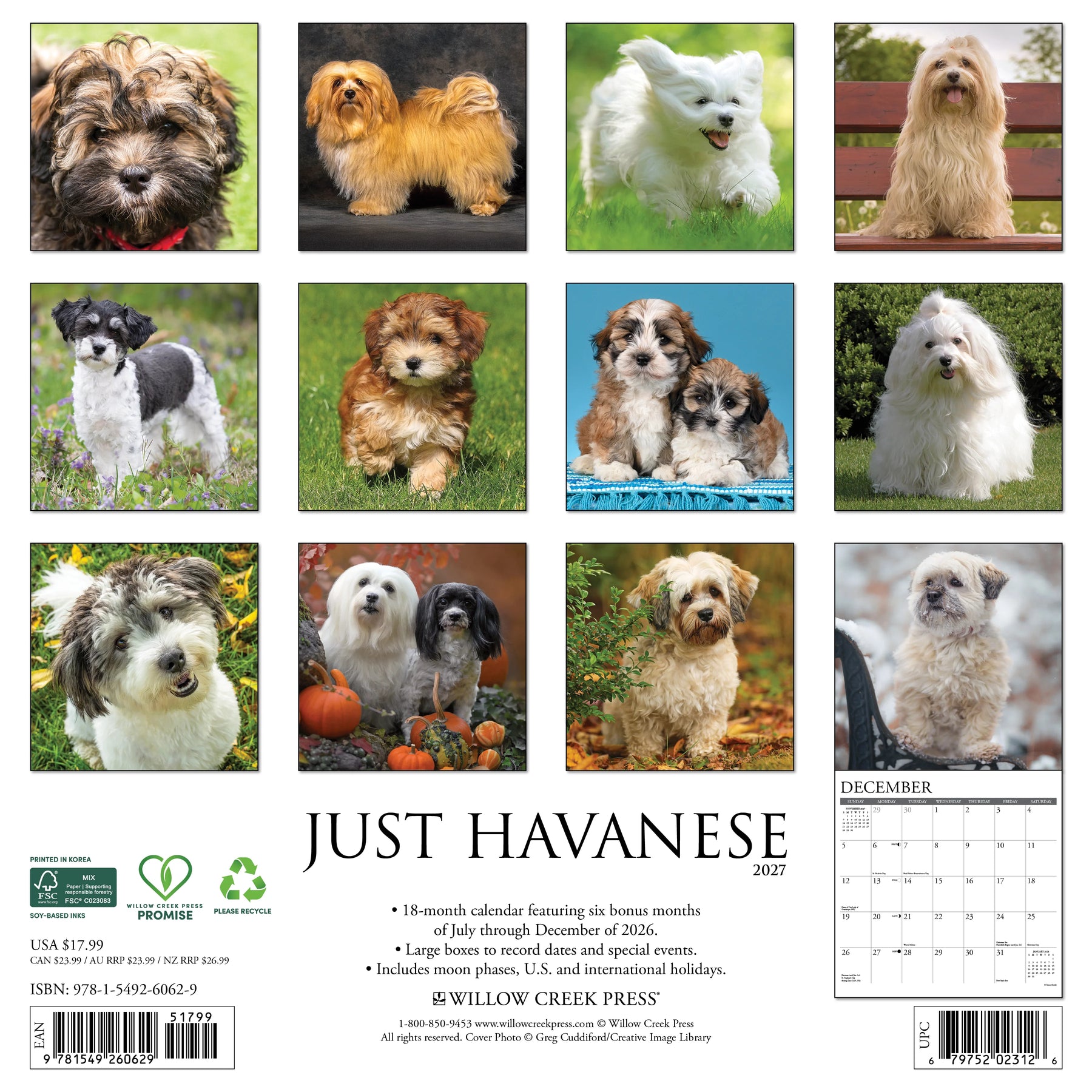 Willow Creek Press - 2027 Havanese Calendar
