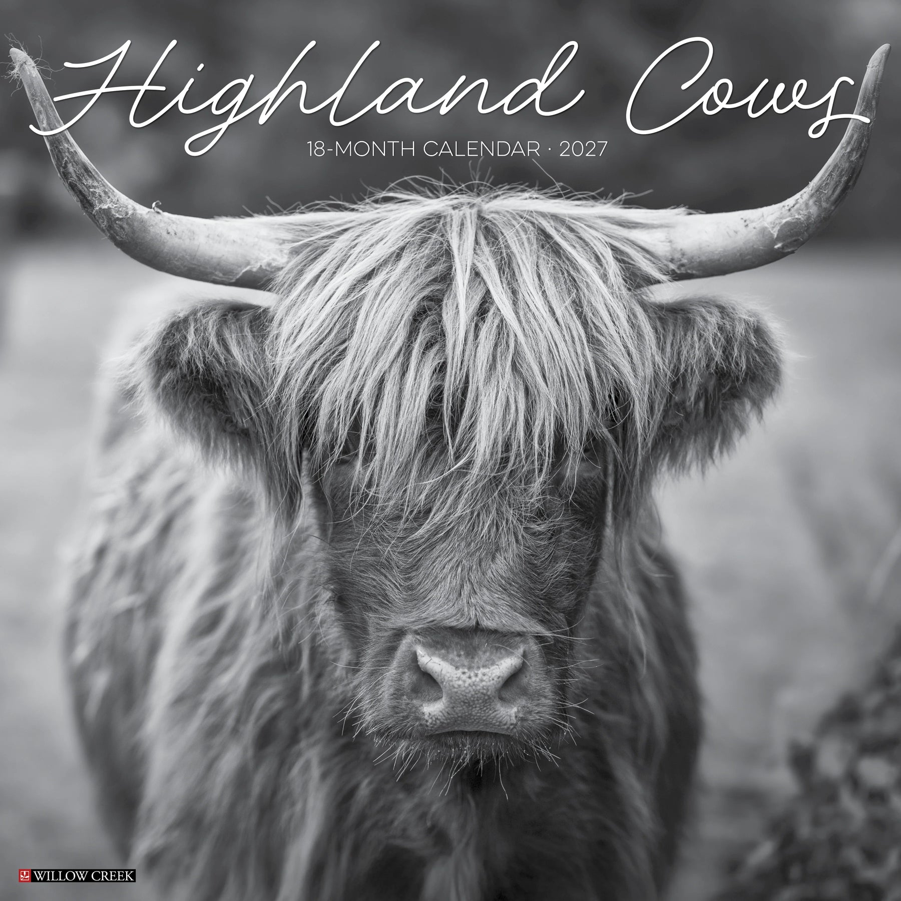 Willow Creek Press - 2027 Highland Cows B&W Calendar