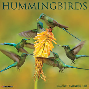 Willow Creek Press - 2027 Hummingbirds Calendar