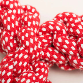 Holiday Knotted Rope Dog Toys